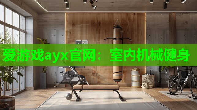 爱游戏ayx官网：室内机械健身