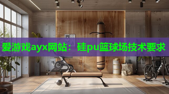 爱游戏ayx网站：硅pu篮球场技术要求