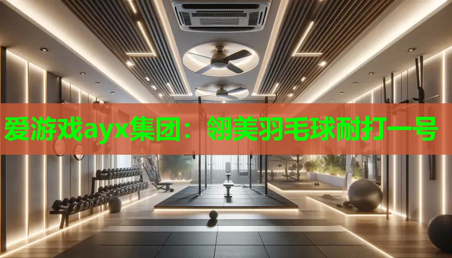 爱游戏ayx集团：翎美羽毛球耐打一号