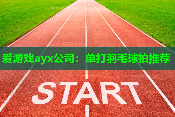 爱游戏ayx公司：单打羽毛球拍推荐