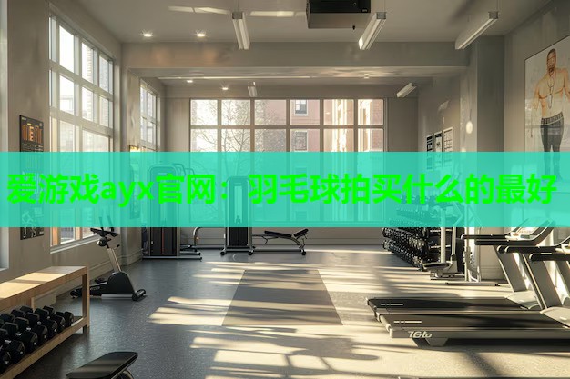 爱游戏ayx官网：羽毛球拍买什么的最好