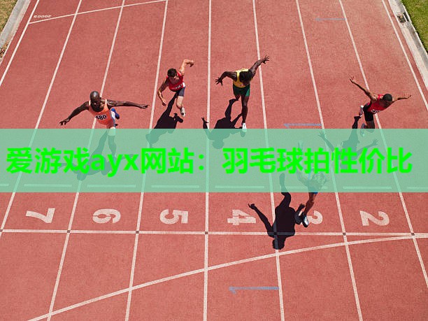 爱游戏ayx网站：羽毛球拍性价比