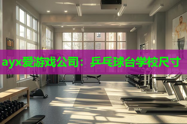 乒乓球台学校尺寸